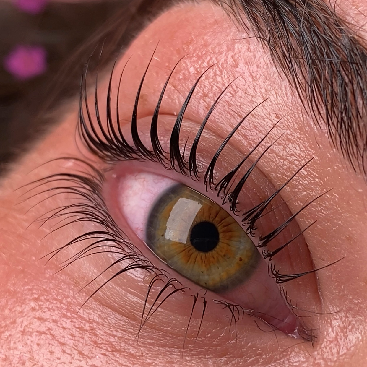 Hayali Lift Live Korean Lash Lift Demonstration