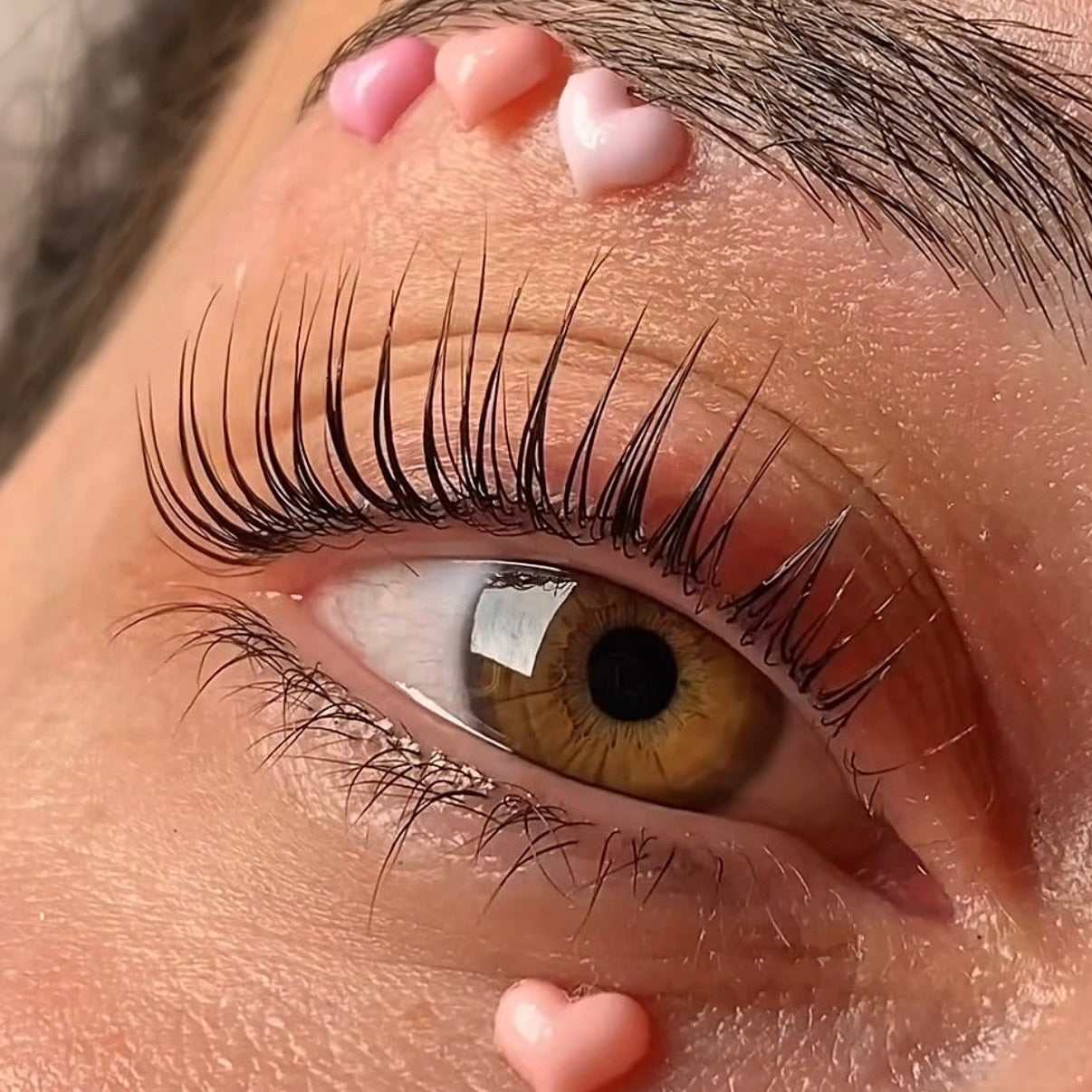 Hayali Lift Live Korean Lash Lift Demonstration
