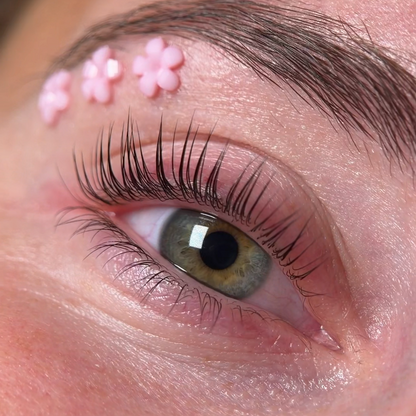 Hayali Lift Live Korean Lash Lift Demonstration